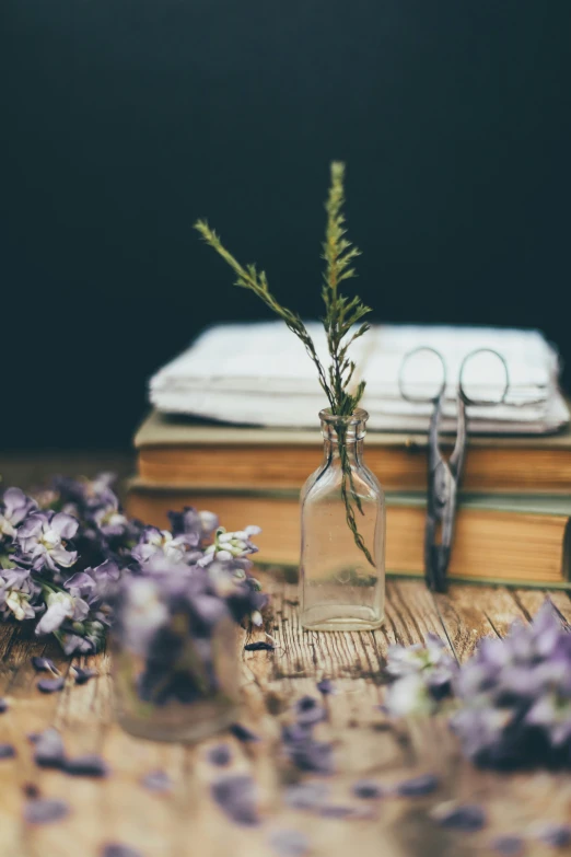 small purple flowers are sitting inside of a bottle