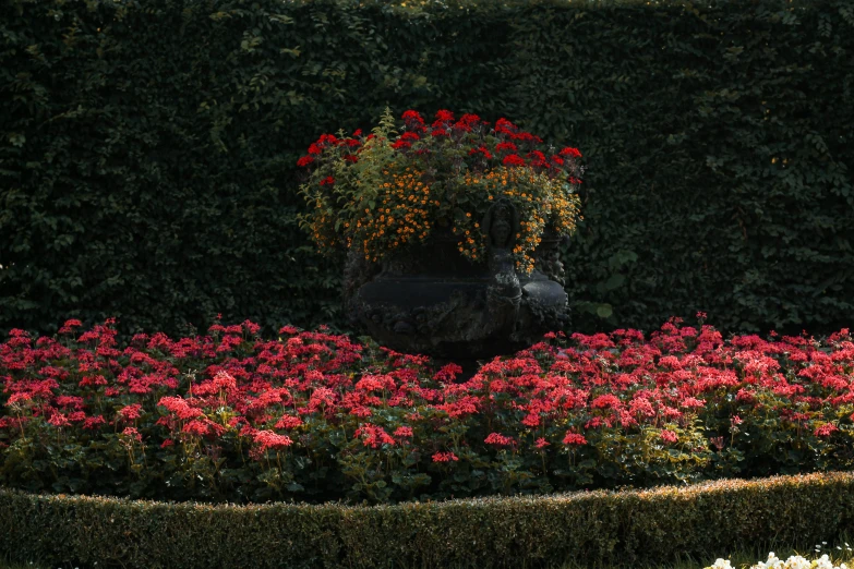 a garden full of flowers that is surrounded by shrubbery