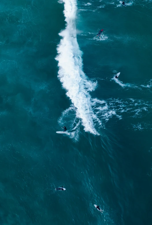 several surfers riding their boards in the water