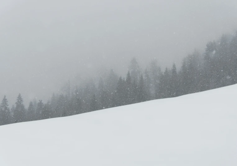 snow falling down on a pine covered hill