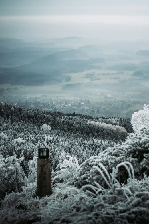 the snowy hills are far above the tree line