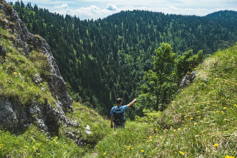 a man standing on the side of a green hillside with a forest in the background