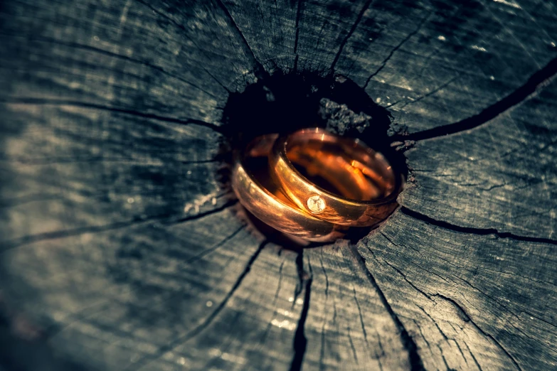 an open ring on top of a tree log