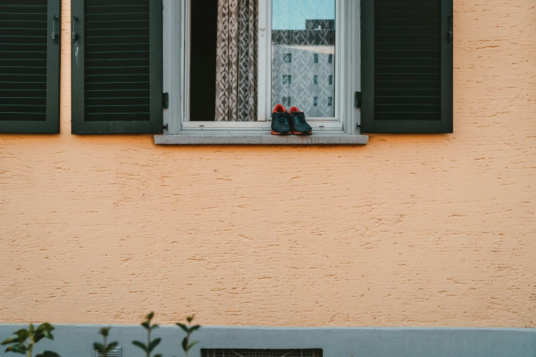 two birds in a window seat, one on the windowsill