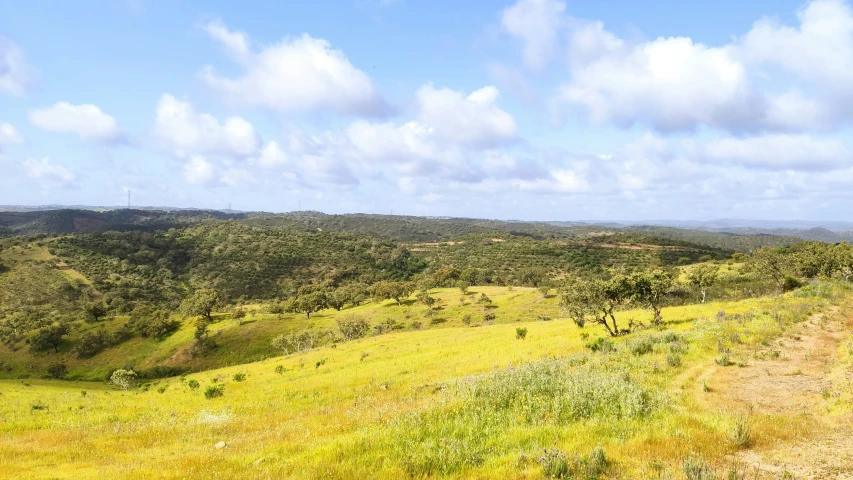 there is a man that is standing on top of a hill