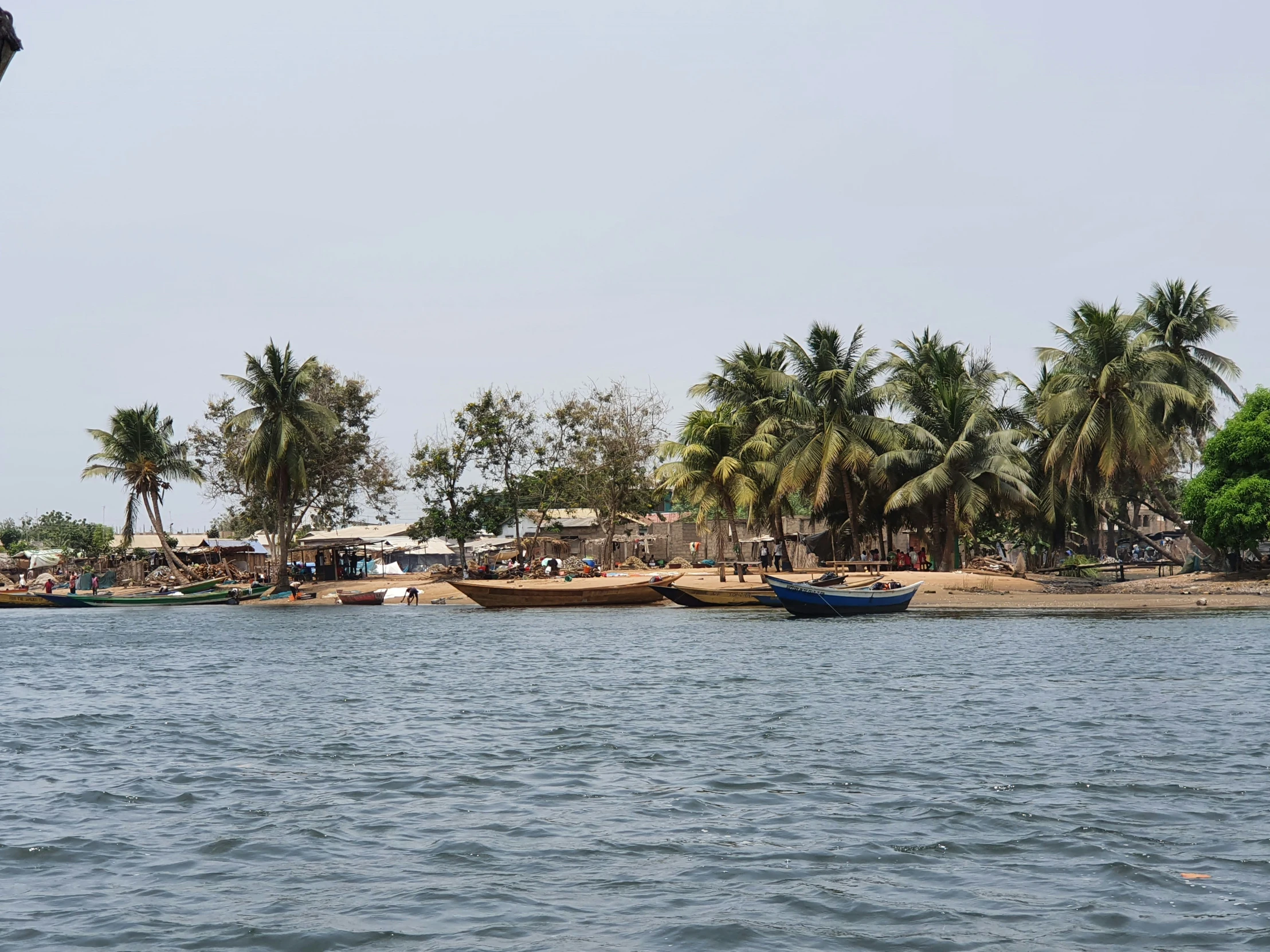 small boats are sitting on the lake with palm trees