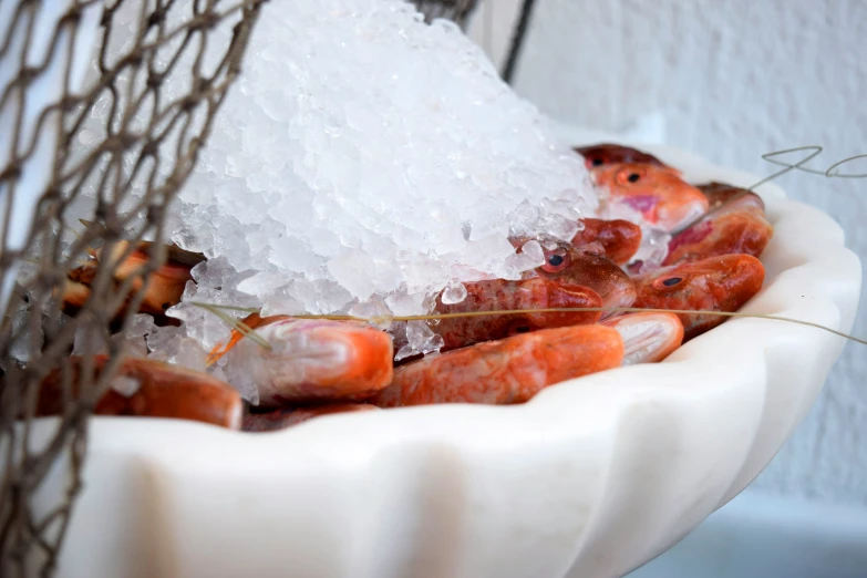 a bowl with some shrimp and ice in it