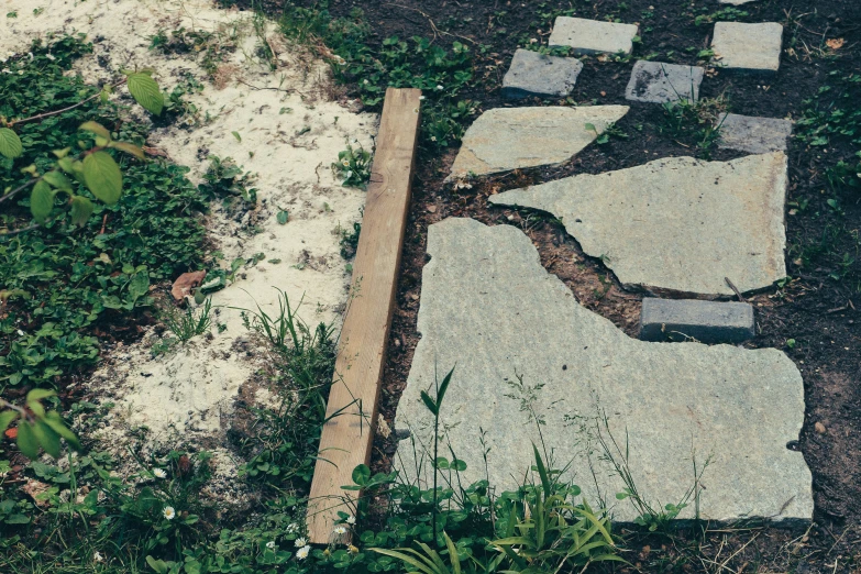 this is a concrete path next to plants