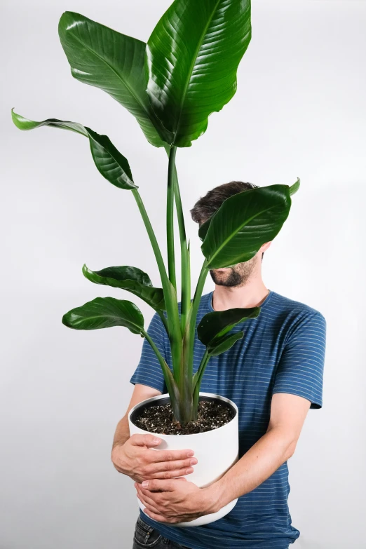 the person is holding up a plant in his hand