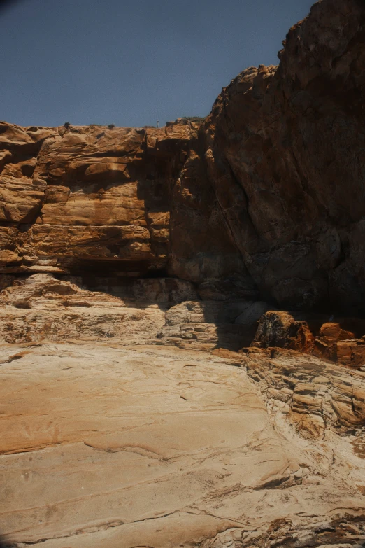 a sheep stands in the middle of the dry desert