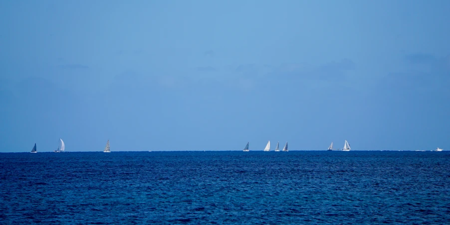 a group of sail boats in the blue ocean