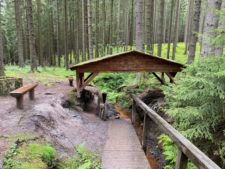 wooden walkway leading through a heavily wooded area