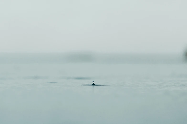 lone person in a rowboat in a foggy ocean