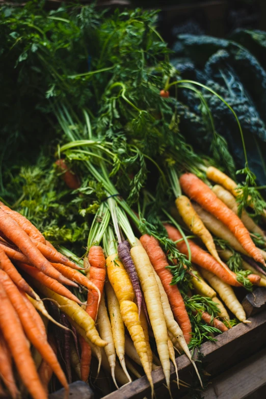 bunches of carrots sitting on a pile of veggies