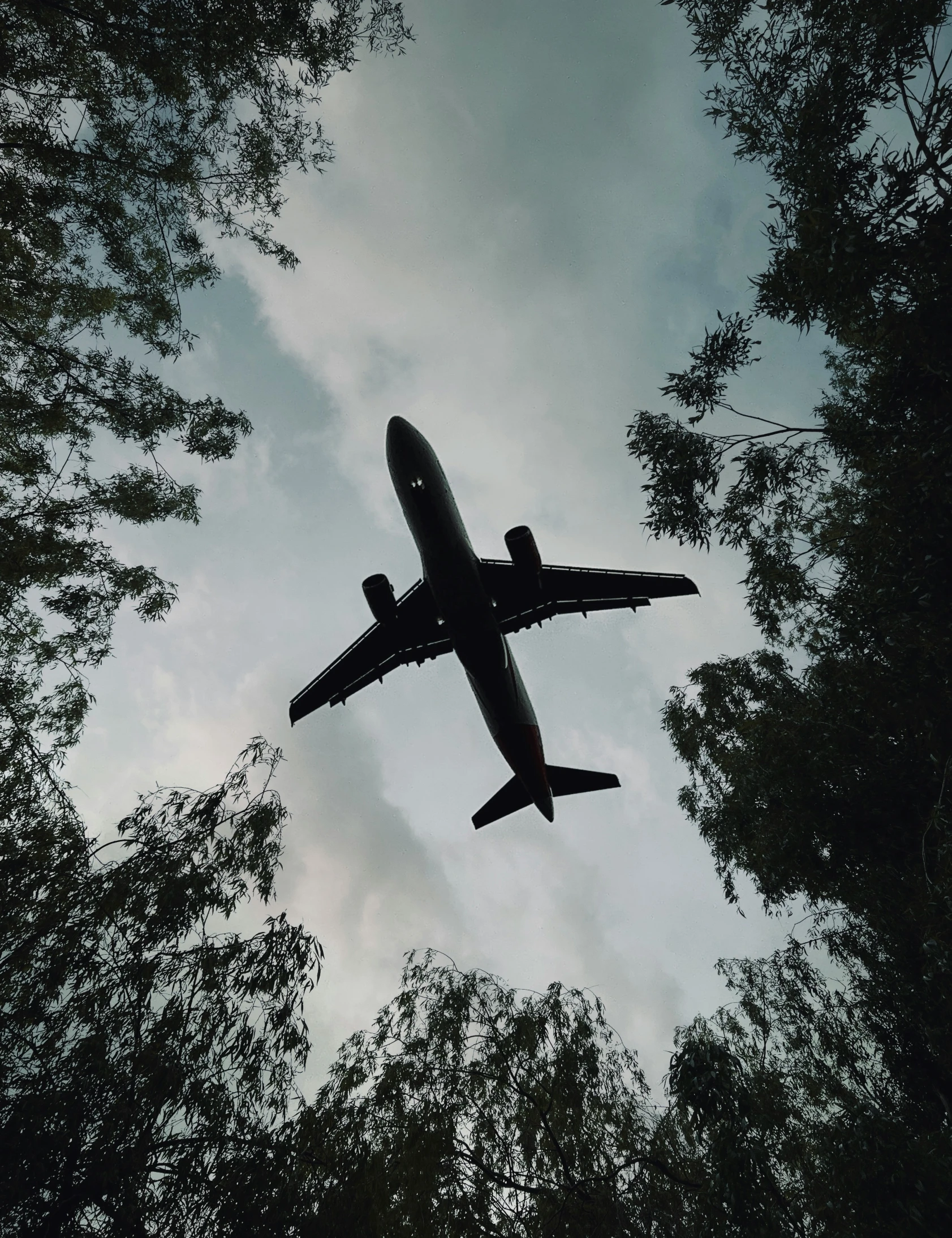 the plane is flying low near some trees