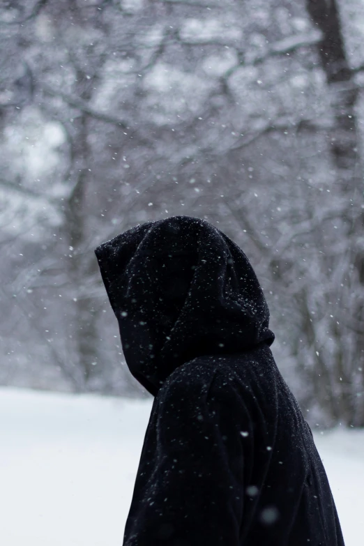 a hooded person in a park on a snowy day