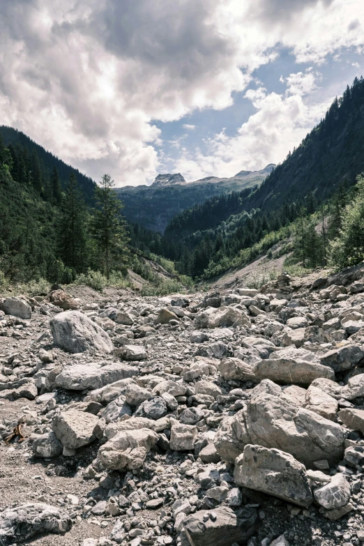 a rocky road with lots of boulders, rocks, and trees