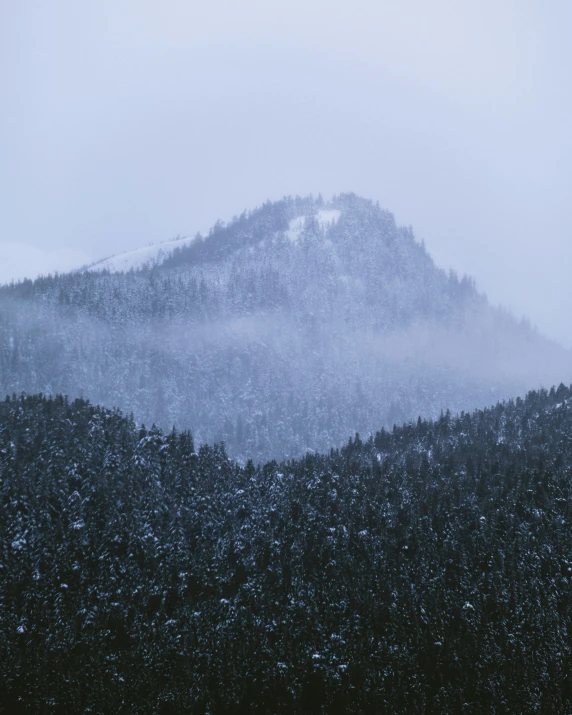 mountains covered in snow and fog are seen