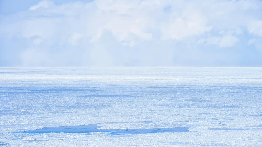 a person on an elephant walking across the snow