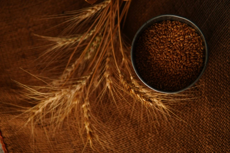 an old cup is next to a pile of wheat