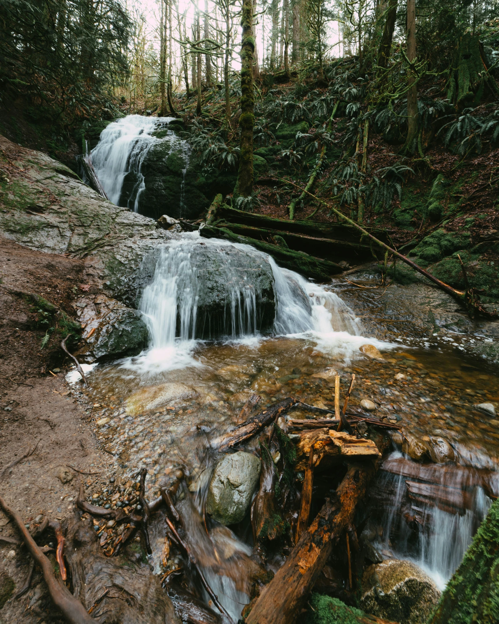 a waterfall flows into some rocky river next to forest