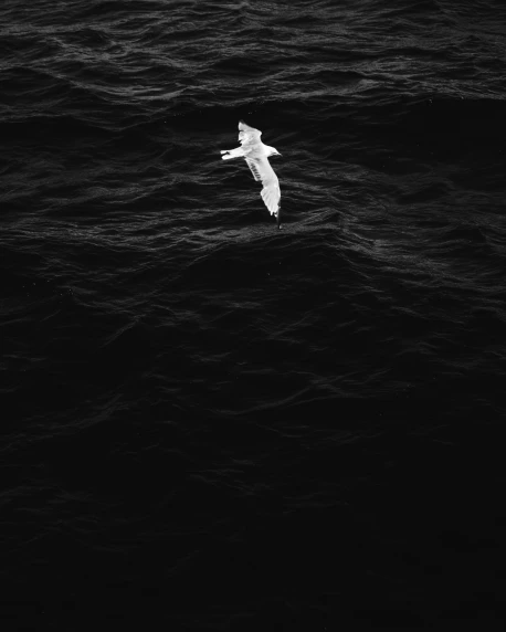 a seagull is flying over the water at night