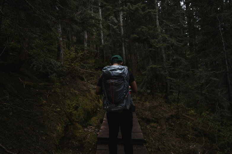 man standing at the top of a hiking path near trees