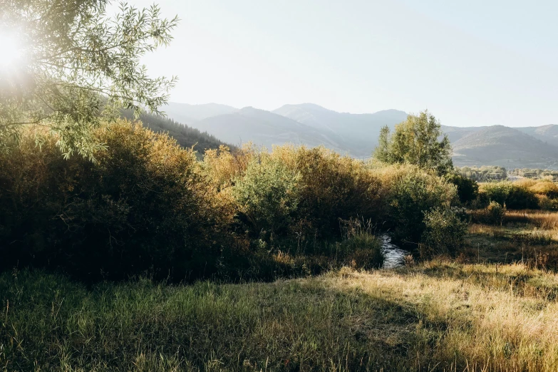 an image of a field with a waterfall