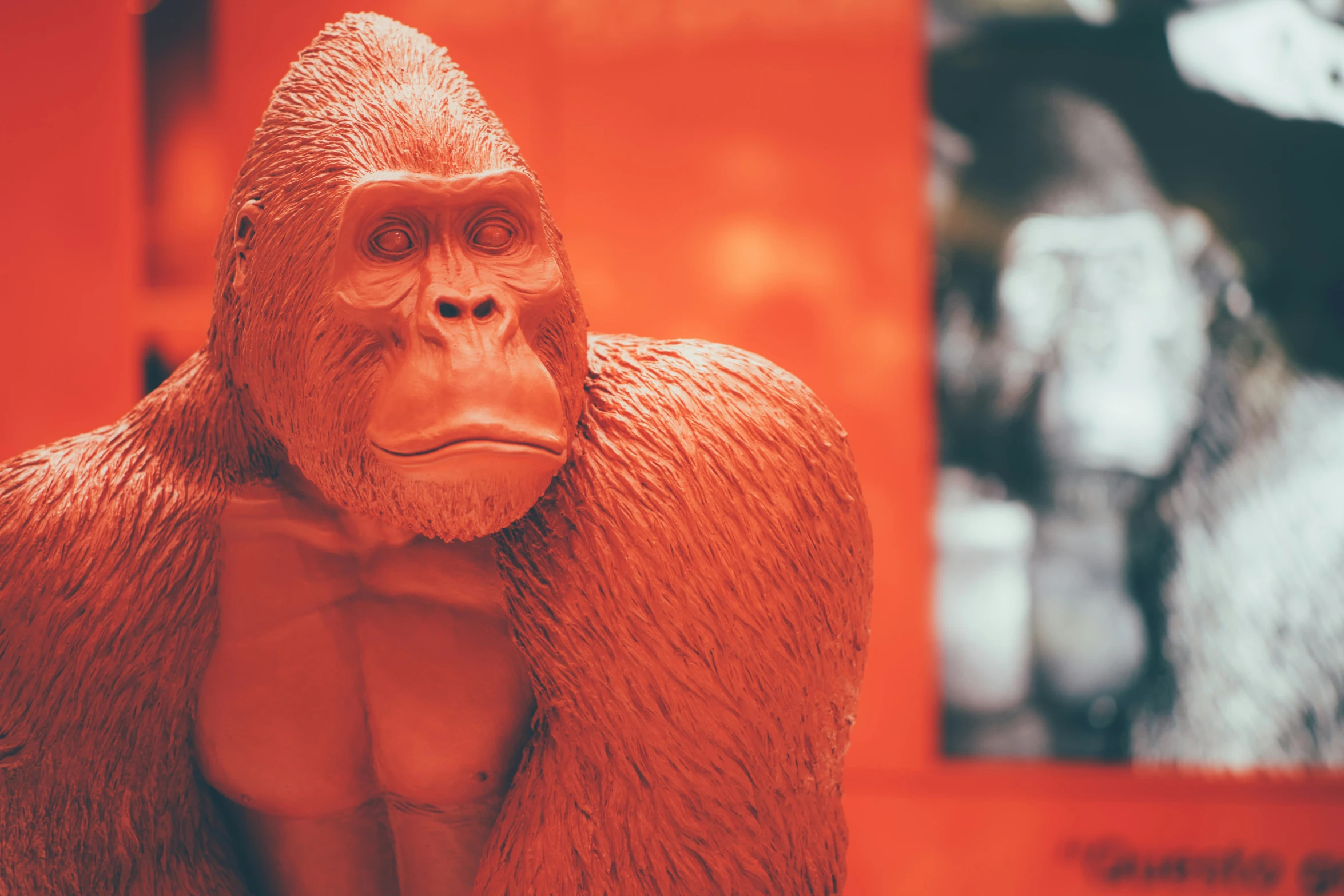 a gorilla is standing next to some paintings