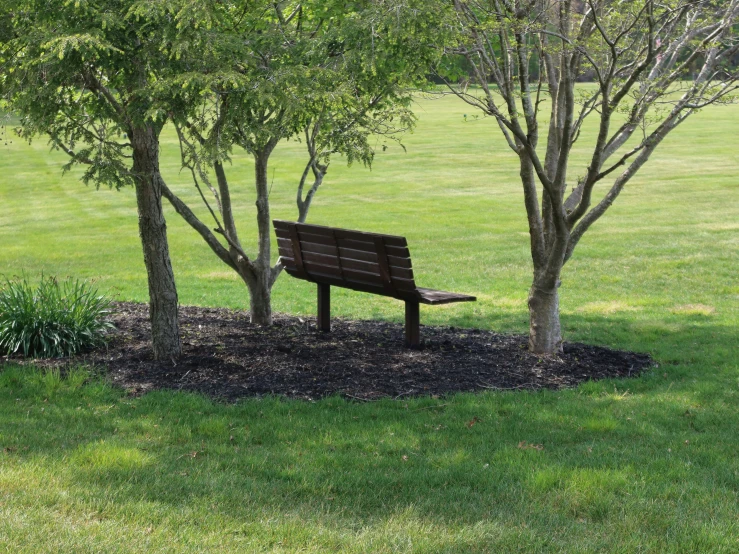 an empty park bench is near some trees and a patch of mulch