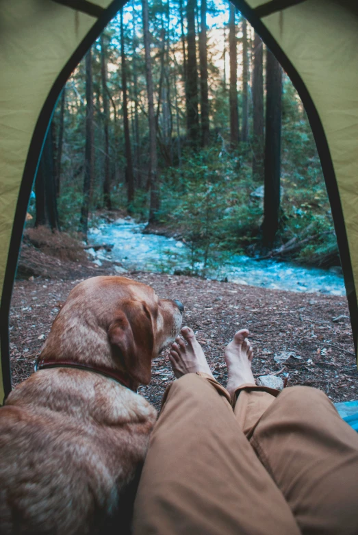 a man lays in the grass with his dog