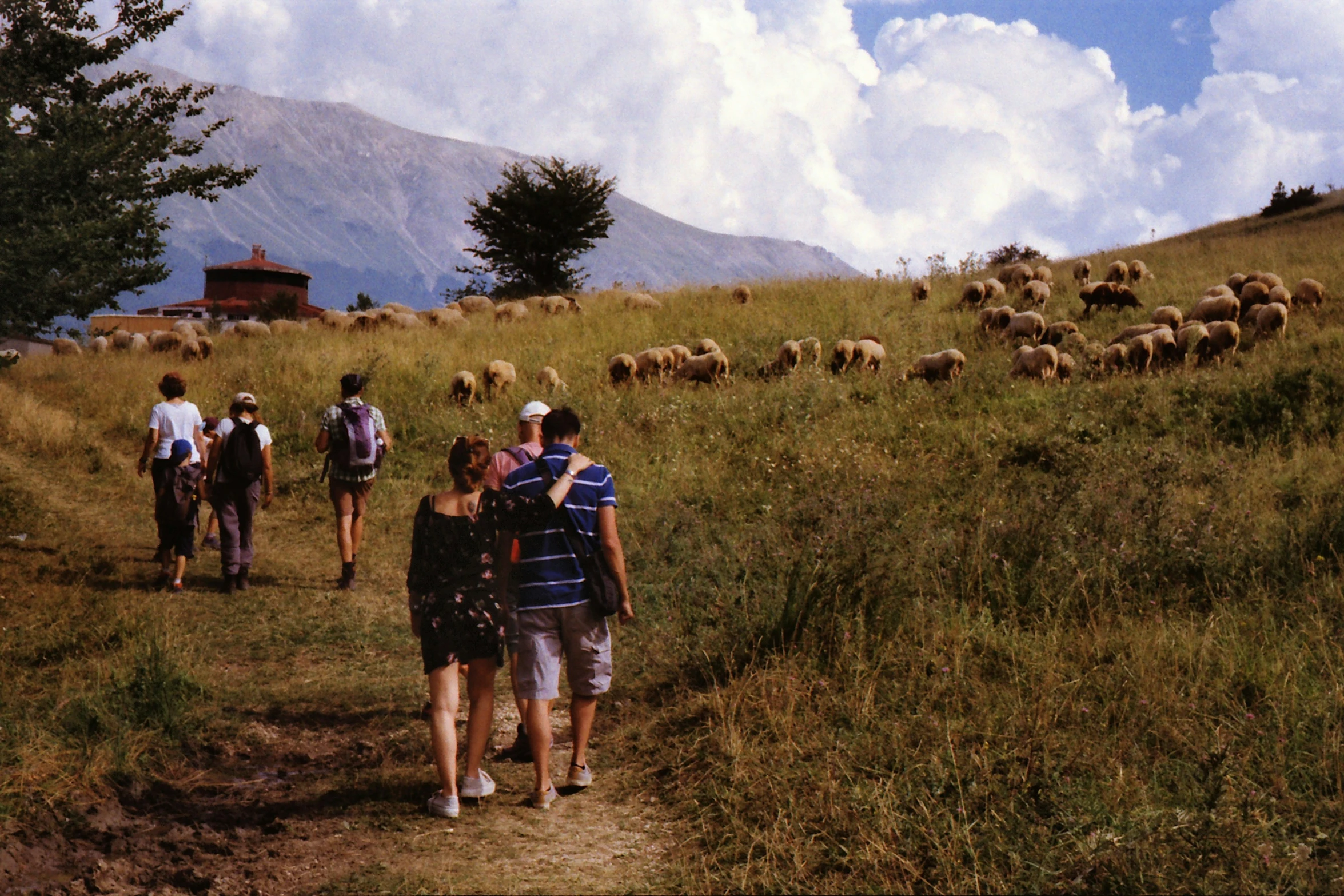 group of people walking in field with goats