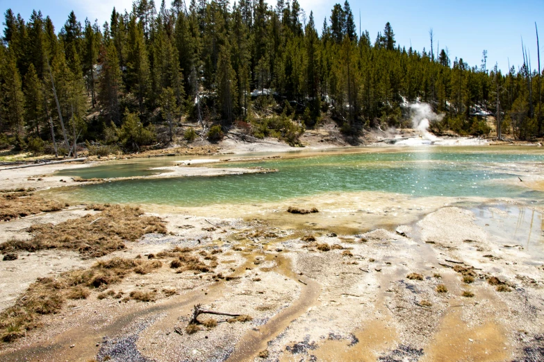 water is green and brown as a steam rises