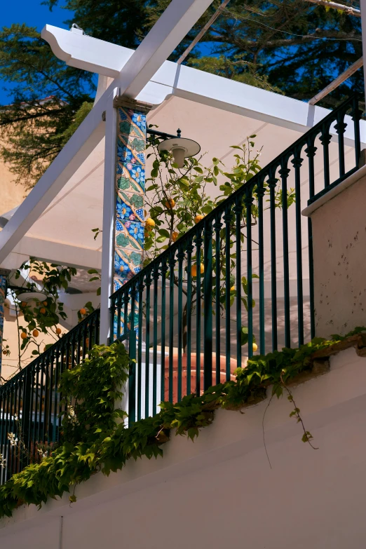 a street sign with green plants growing on it