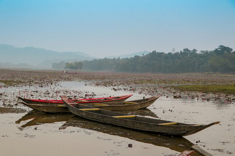 there are some canoes docked on the shore