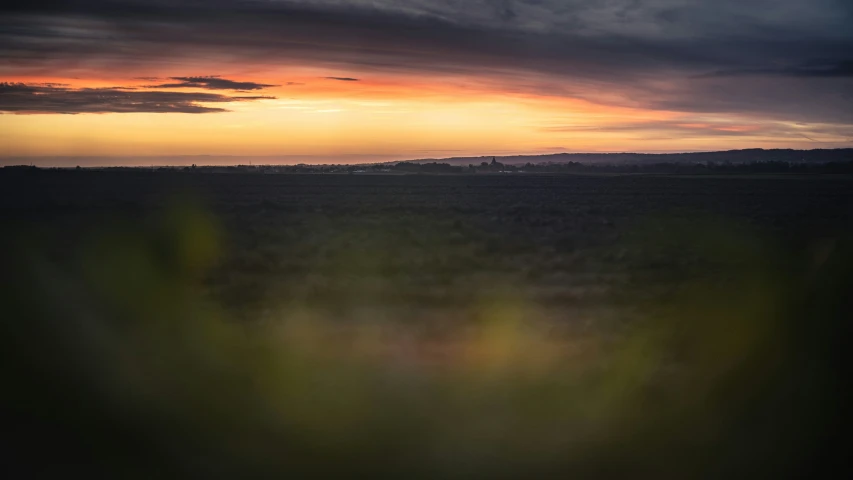 a field with an orange and yellow sunset behind it