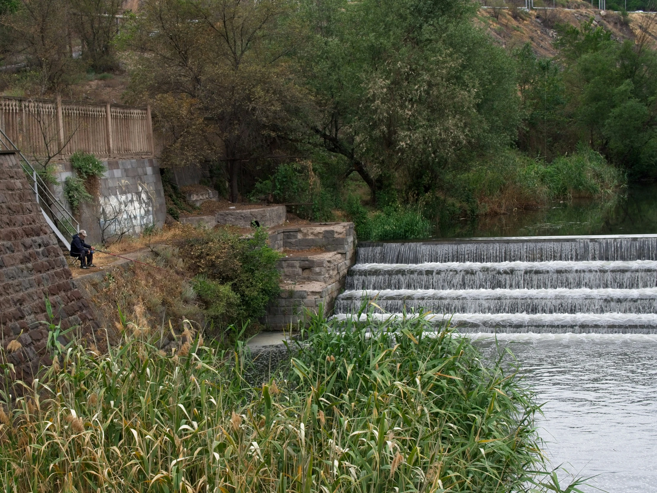 a tall waterfall is next to some tall grass