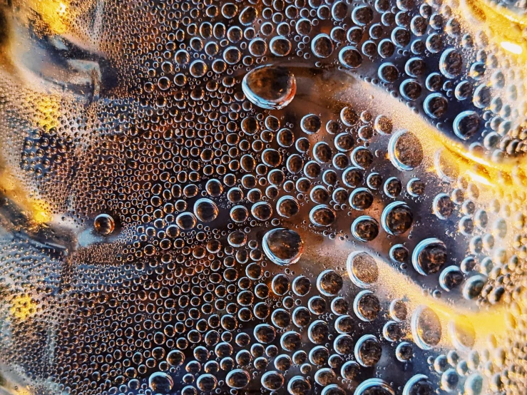 bubbles in water are seen from above with yellow and black dots