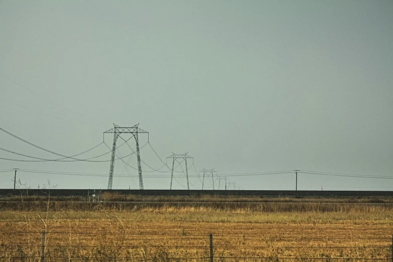 the grass has power lines at the edge