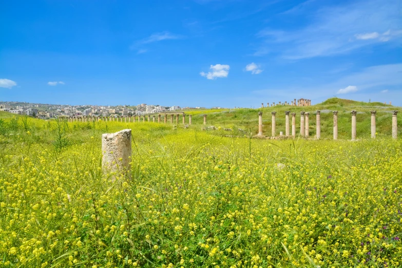 a po of the grassy field with pillars on it