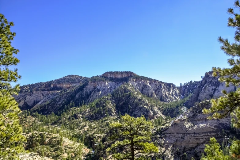 the mountains are near some trees and rocks