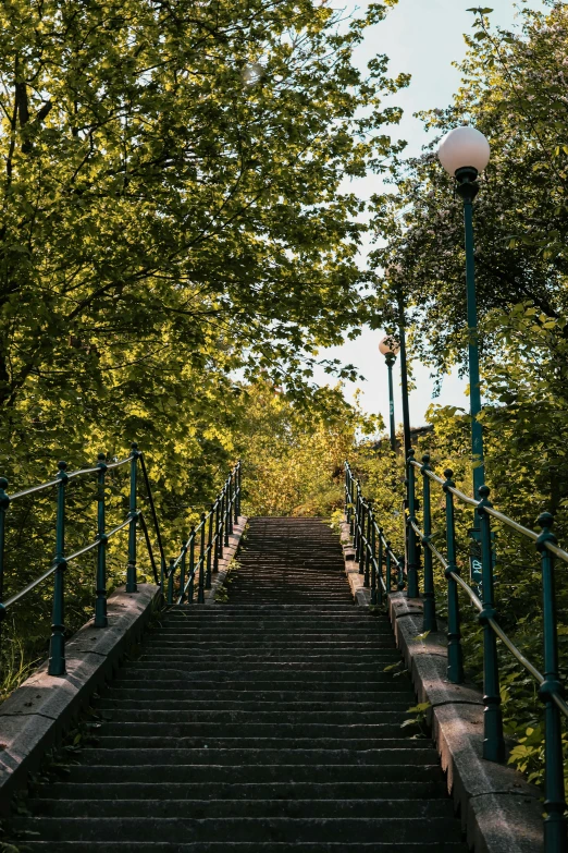 the stairs lead down to a tree lined walkway