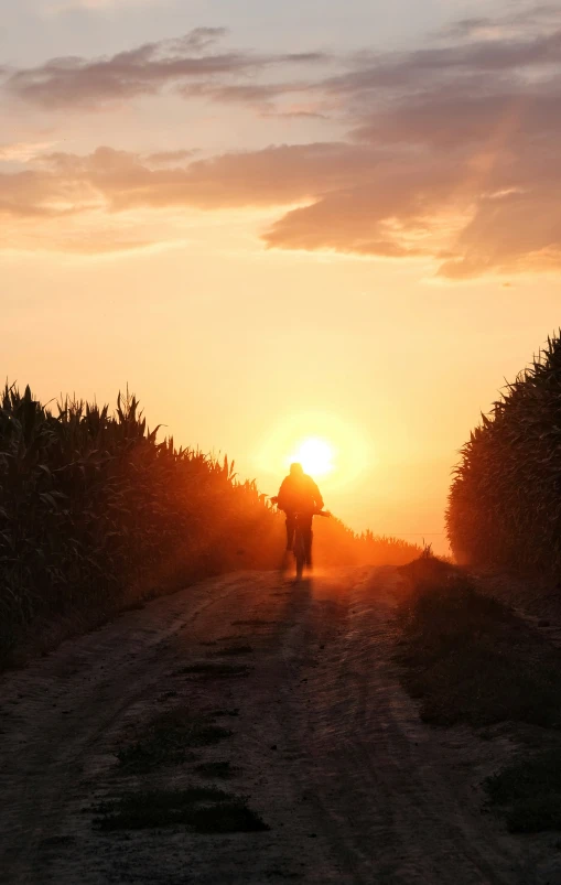 a lone person riding along a road as the sun sets