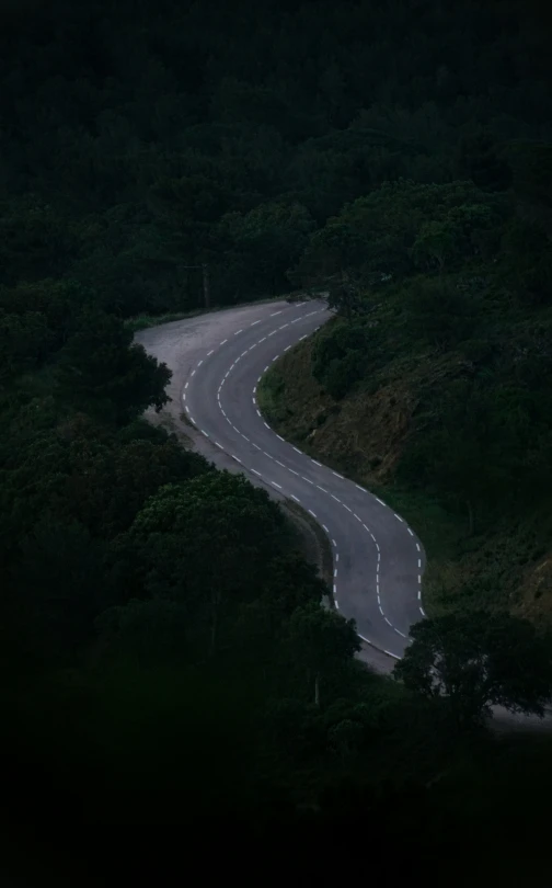 a winding road surrounded by dark trees at night