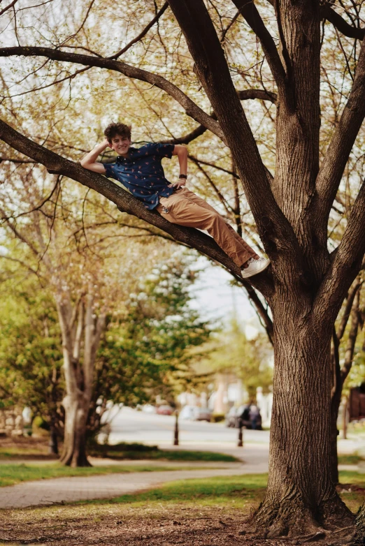 boy in the tree with his legs out and head down