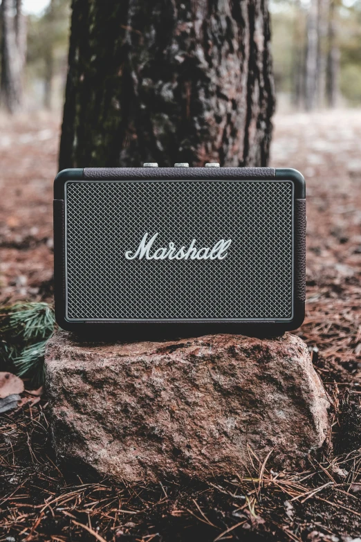 a speaker sitting on a rock in the woods