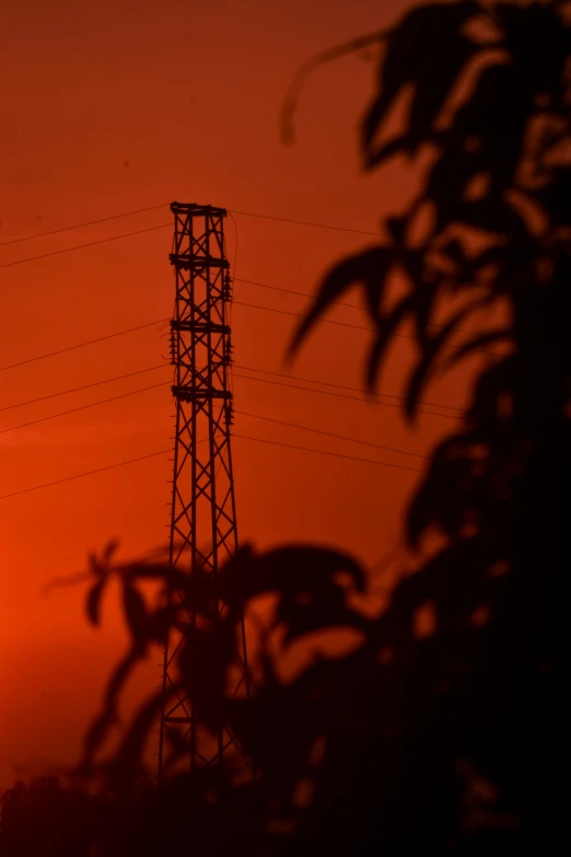 the sun rising behind a tower in a forest