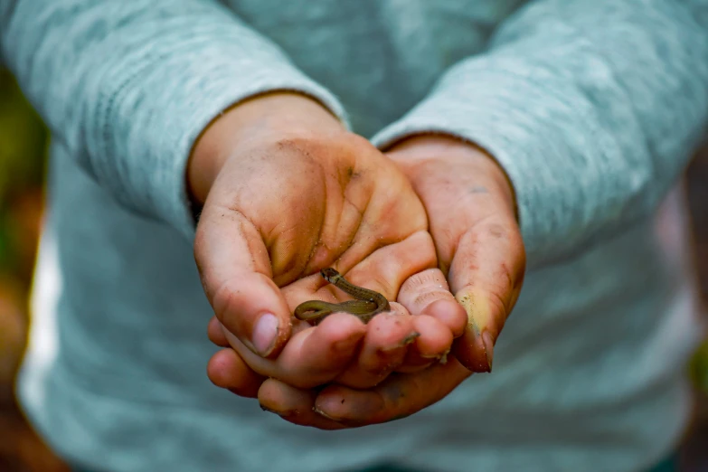 the person is holding a small lizard in his hands