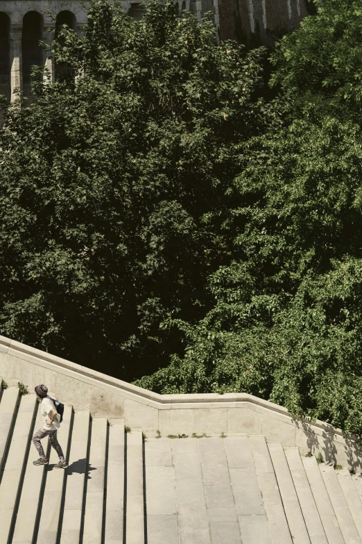 a person skateboarding down a staircase near tall trees