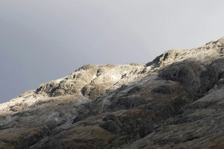 a small animal stands on a hill near a rocky outcropping